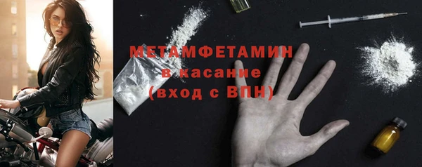 ГАЛЛЮЦИНОГЕННЫЕ ГРИБЫ Карталы