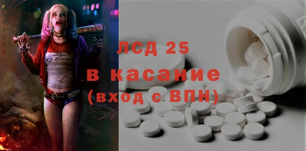 ГАЛЛЮЦИНОГЕННЫЕ ГРИБЫ Карталы