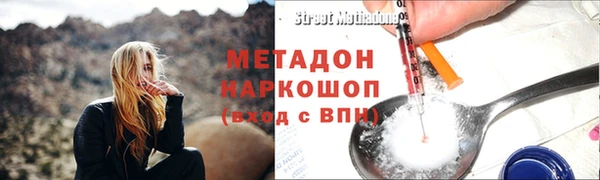 индика Карпинск