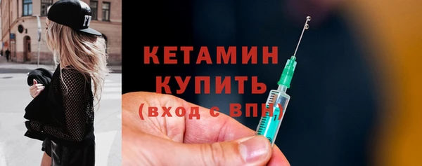индика Карпинск