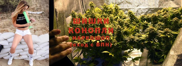 индика Карпинск