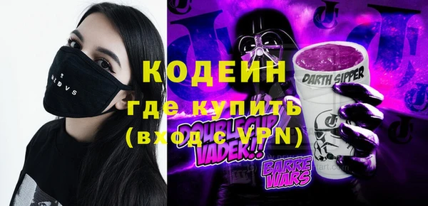 индика Карпинск