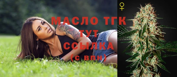 индика Карпинск