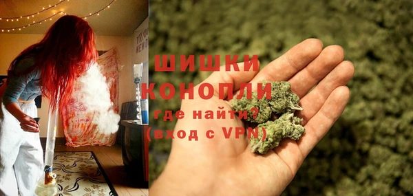 ГАЛЛЮЦИНОГЕННЫЕ ГРИБЫ Карталы