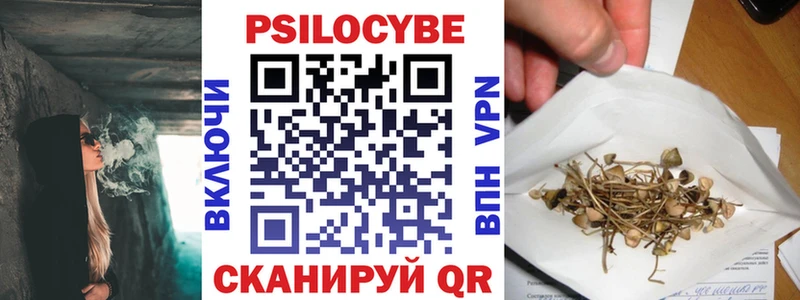 Купить  Киржач  Галлюциногенные грибы Magic Shrooms 